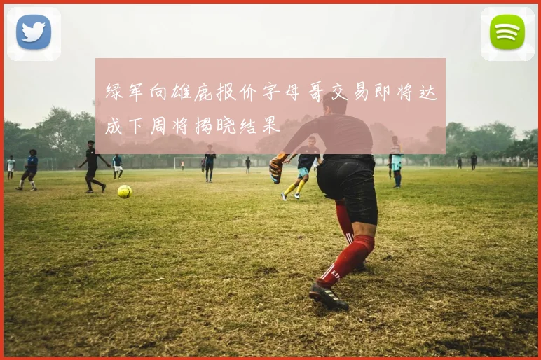 绿军向雄鹿报价字母哥交易即将达成下周将揭晓结果