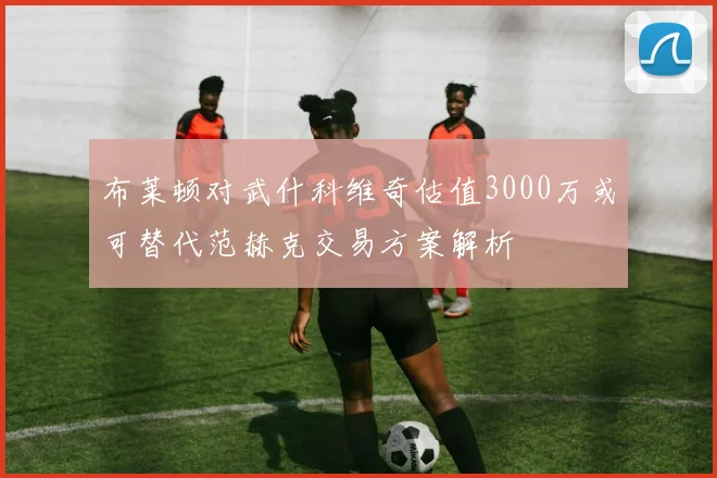布莱顿对武什科维奇估值3000万或可替代范赫克交易方案解析