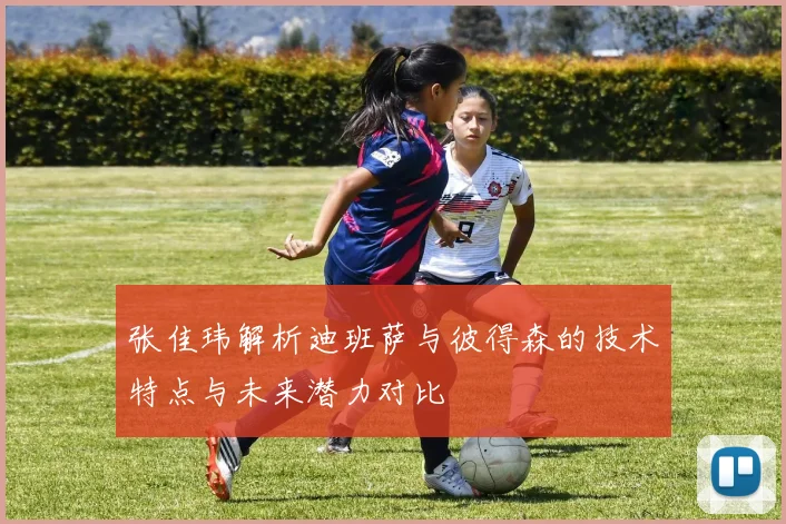 张佳玮解析迪班萨与彼得森的技术特点与未来潜力对比